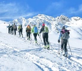 Ski de randonnée